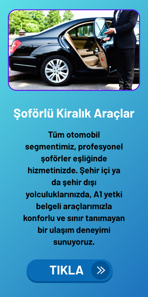 soforlu-Kiralık Araclar-d2belgesi
